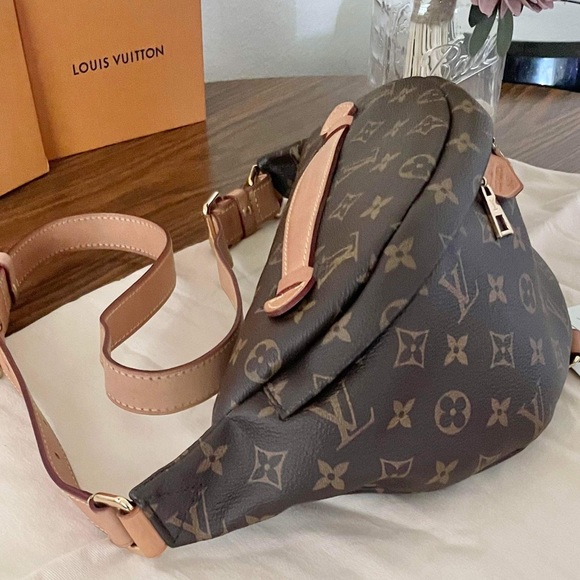 Louis Vuitton Monogram Bumbag - Picture 2 of 16